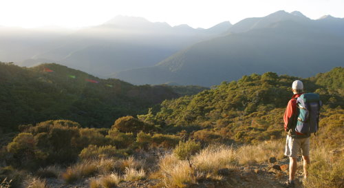 Hike or Cycle the Dun Mountain Trail